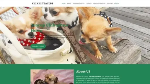 Screenshot of