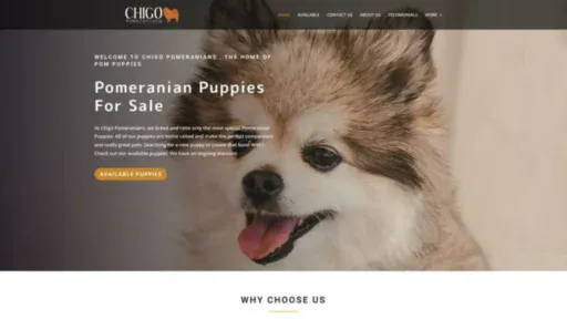 Screenshot of||