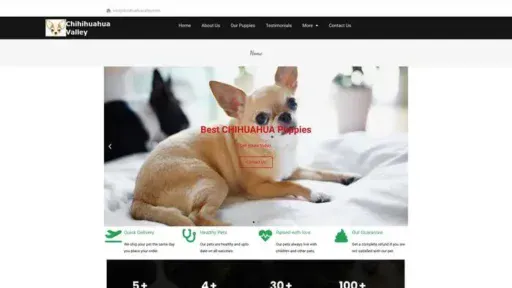Screenshot of