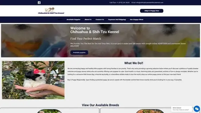 Screenshot of