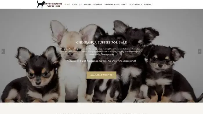 Screenshot of