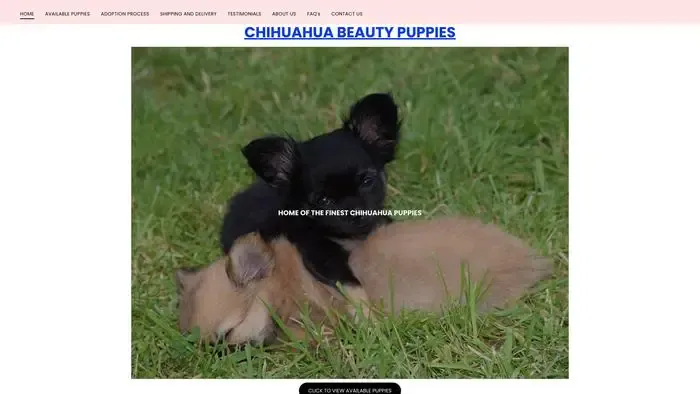 Screenshot of