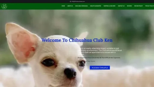 Screenshot of