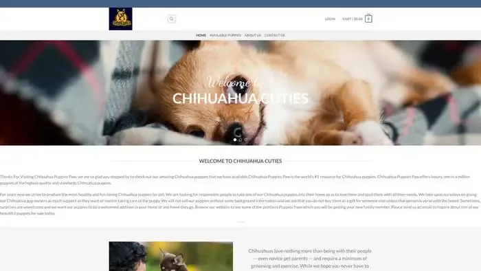 Screenshot of