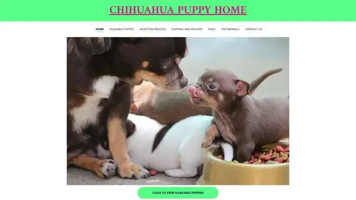 Screenshot of