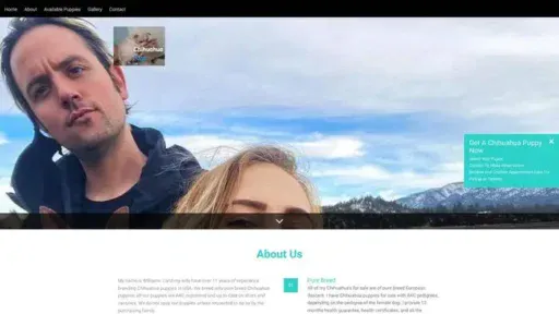 Screenshot of