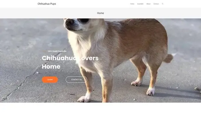 Screenshot of
