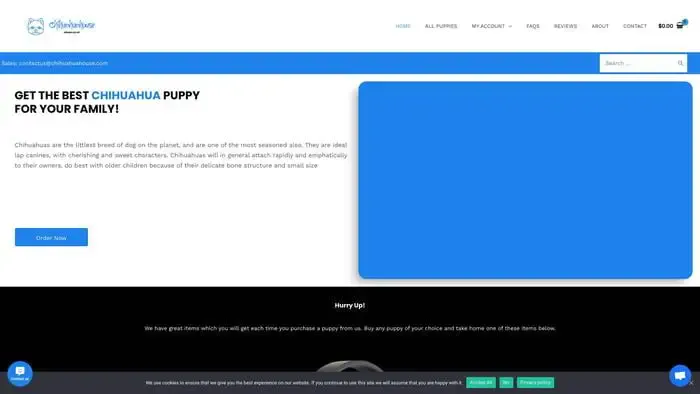 Screenshot of
