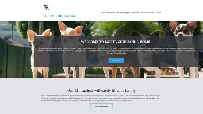 Screenshot of