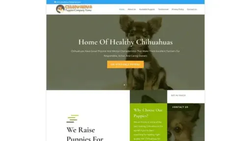 Screenshot of