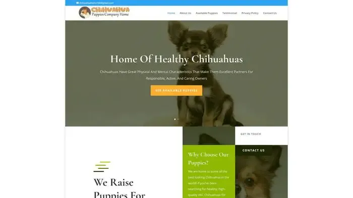 Screenshot of