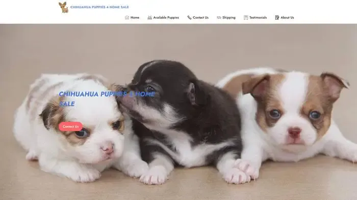 Screenshot of
