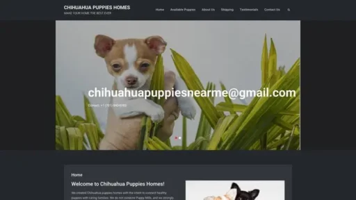 Screenshot of