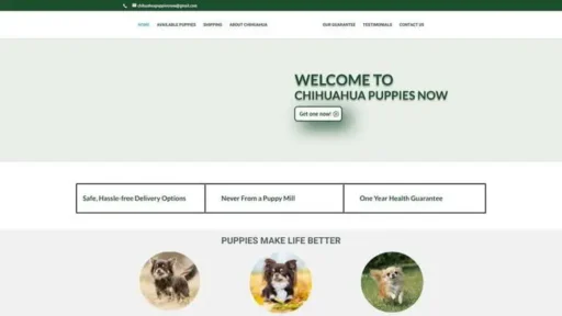 Screenshot of