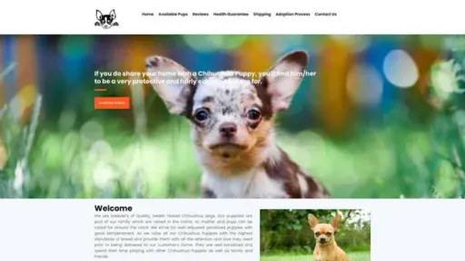 Screenshot of