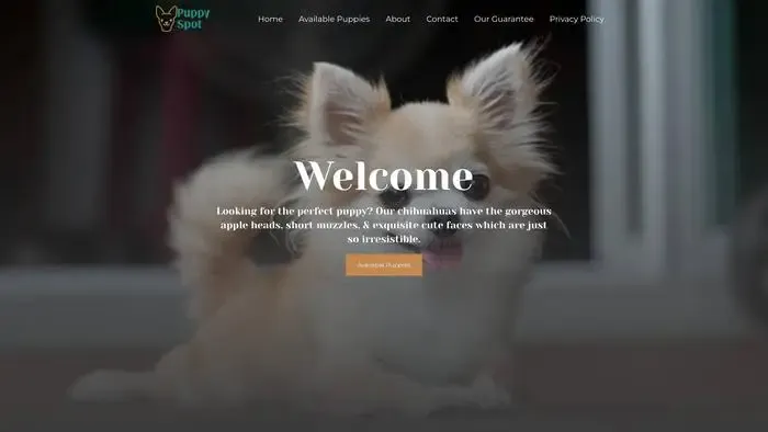 Screenshot of