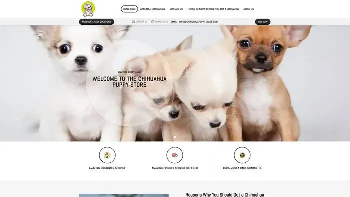 Screenshot of