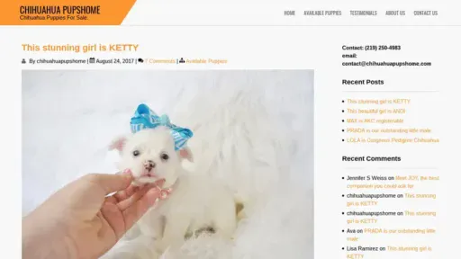 Screenshot of