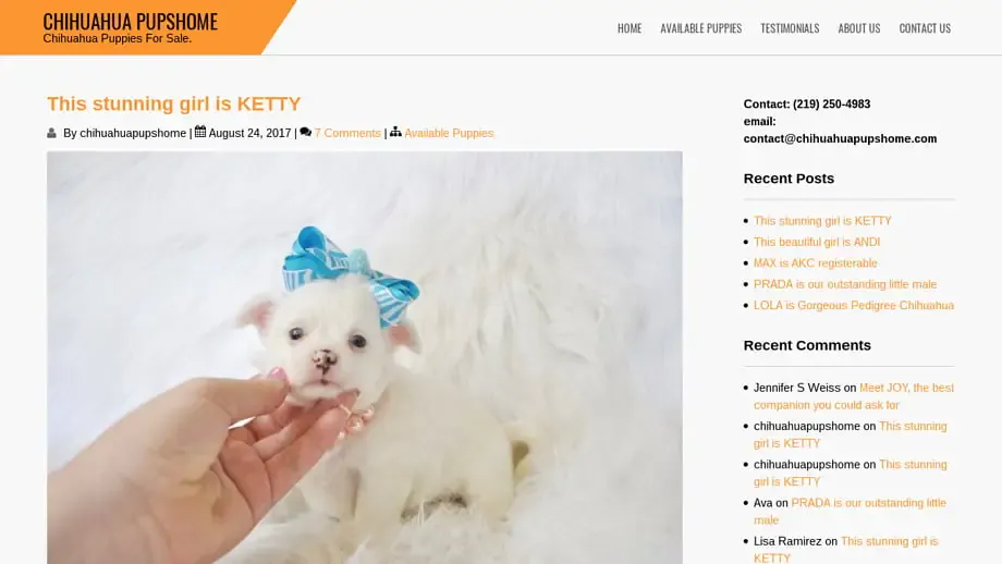 Screenshot of