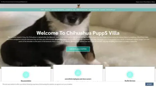 Screenshot of