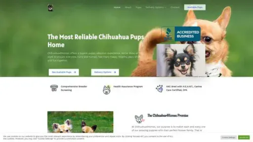 Screenshot of