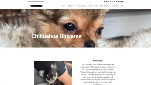 Screenshot of