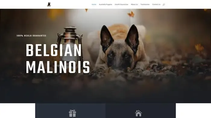 Screenshot of