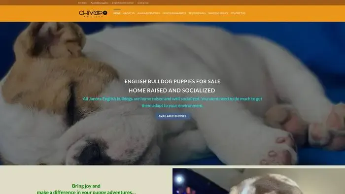 Screenshot of