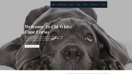 Screenshot of