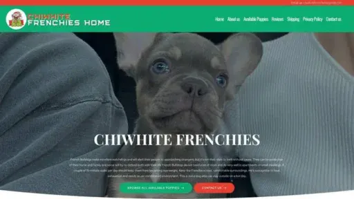 Screenshot of