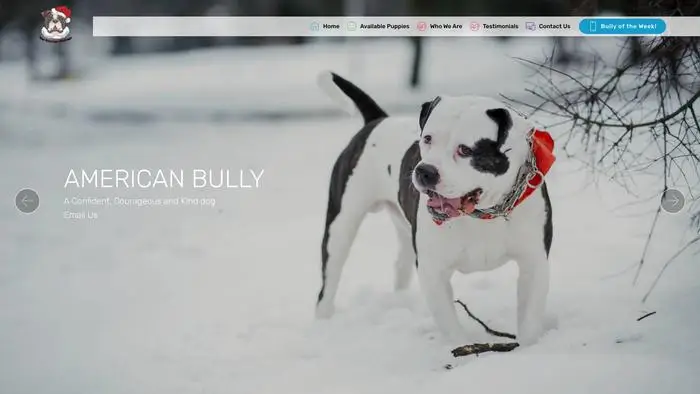 Screenshot of