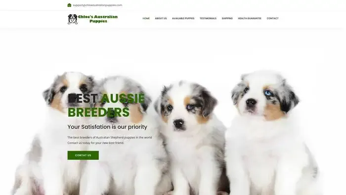 Screenshot of