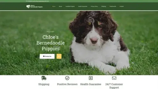 Screenshot of