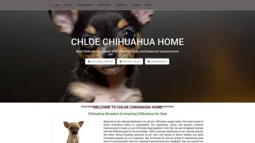 Screenshot of