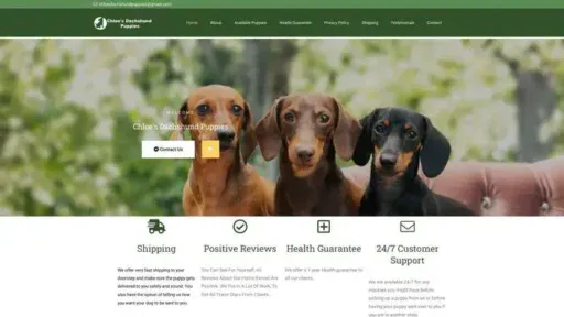 Screenshot of