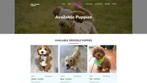 Screenshot of