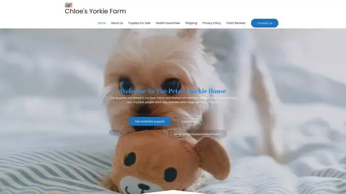 Screenshot of