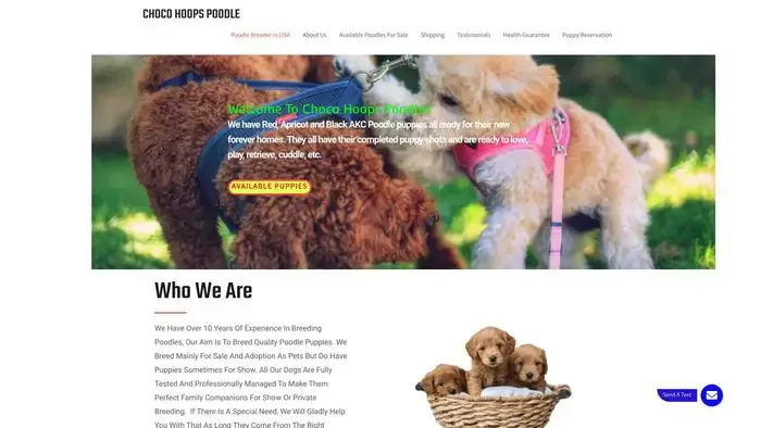 Screenshot of