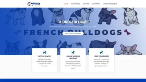 Screenshot of