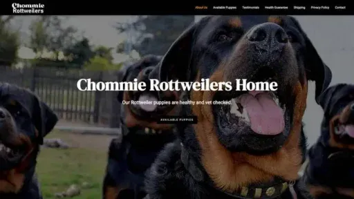 Screenshot of