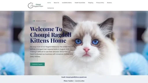 Screenshot of