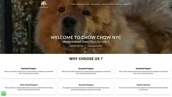 Screenshot of