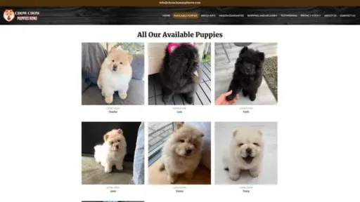 Screenshot of
