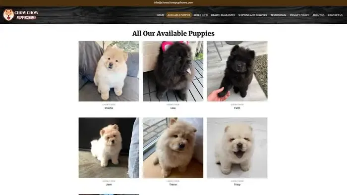 Screenshot of