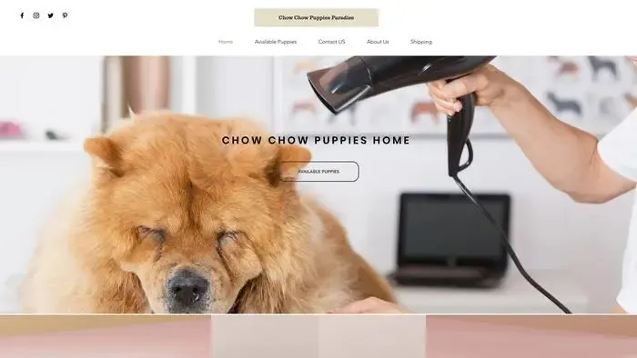 Screenshot of