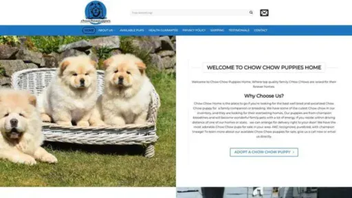 Screenshot of||