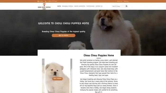 Screenshot of