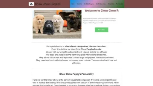 Screenshot of