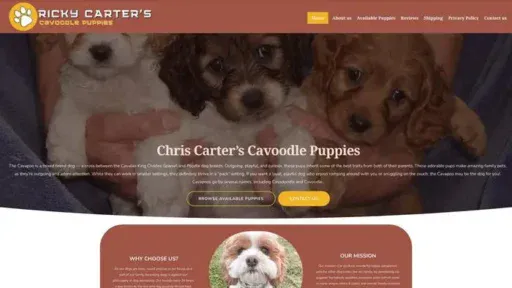 Screenshot of