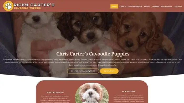 Screenshot of